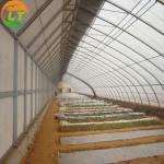 High Strength Solar Agricultural Greenhouses with Easy Assembly and Greenhouse