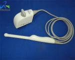 Siemens EC9 4 Medical Ultrasonic Transducer