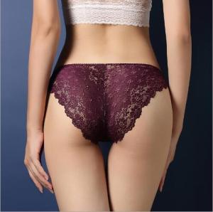 China N3004 Factory Wholesale Women Luxury Sheer Lace Low Waist Underwear wholesale