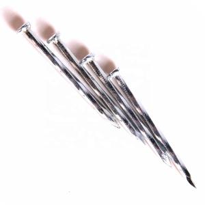 China Customized Small Electro Galvanized Nails Steel Concrete Nail wholesale