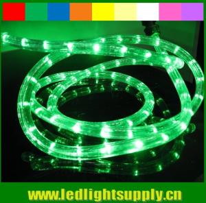 China 2 wire 12v/24v led duralights outdoor christmas rope lights wholesale