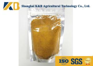 China Raw Corn High Protein Powder Rich Nutrition For Shrimp Breed Aquatics wholesale