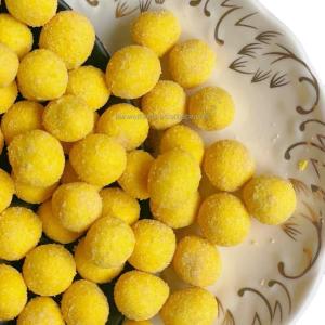 China OU KOSHER Coated Peanut Snack Corn Coated Organic Roasted Peanuts wholesale