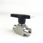 Stainless Steel Water Ball Valves 2pc Mini SS Ball Valve