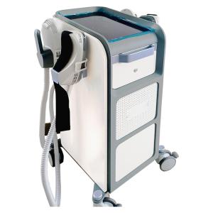 China CE 27.12 MHz Hiemt Muscle Em Sculpting Machine Fat Burning Body Slimming wholesale