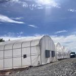Galvanized Pipe Frame Tunnel Greenhouse With Optimal Insulation