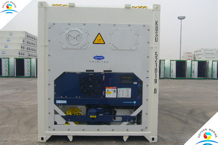 Insulated Carrier Refrigeration Standard Shipping Container 40ft Reefer Container