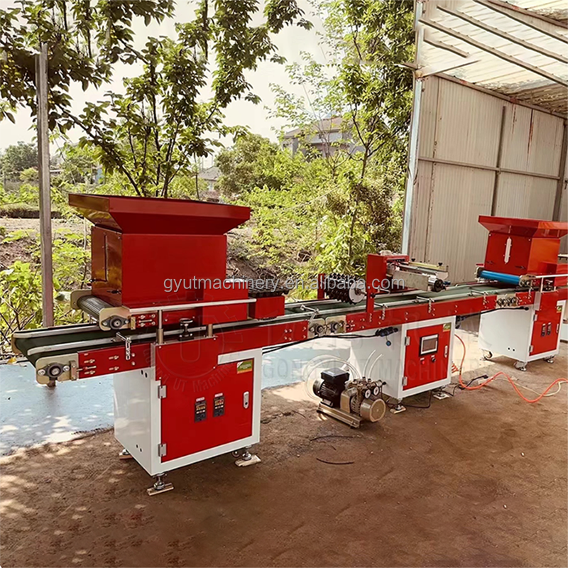 Stainless Steel Tray Tomato Seeding Machine Vacuum Seeder with Precision Planter