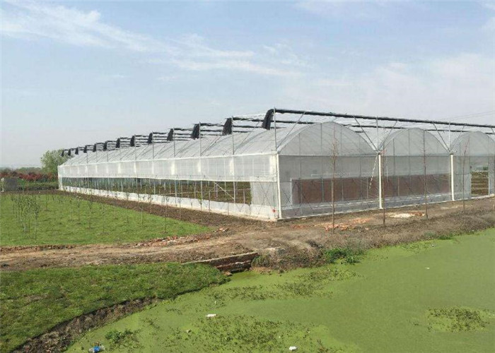 Intelligent Commercial Greenhouse Kits Hot Galvanized Skeleton Designed