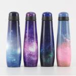 SS304l Vacuum Insulated Water Bottles 350ml For Camping
