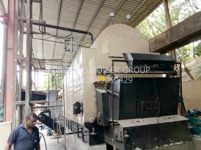 Wood Fired Steam Boiler DZL Type Chain Grate Stoker