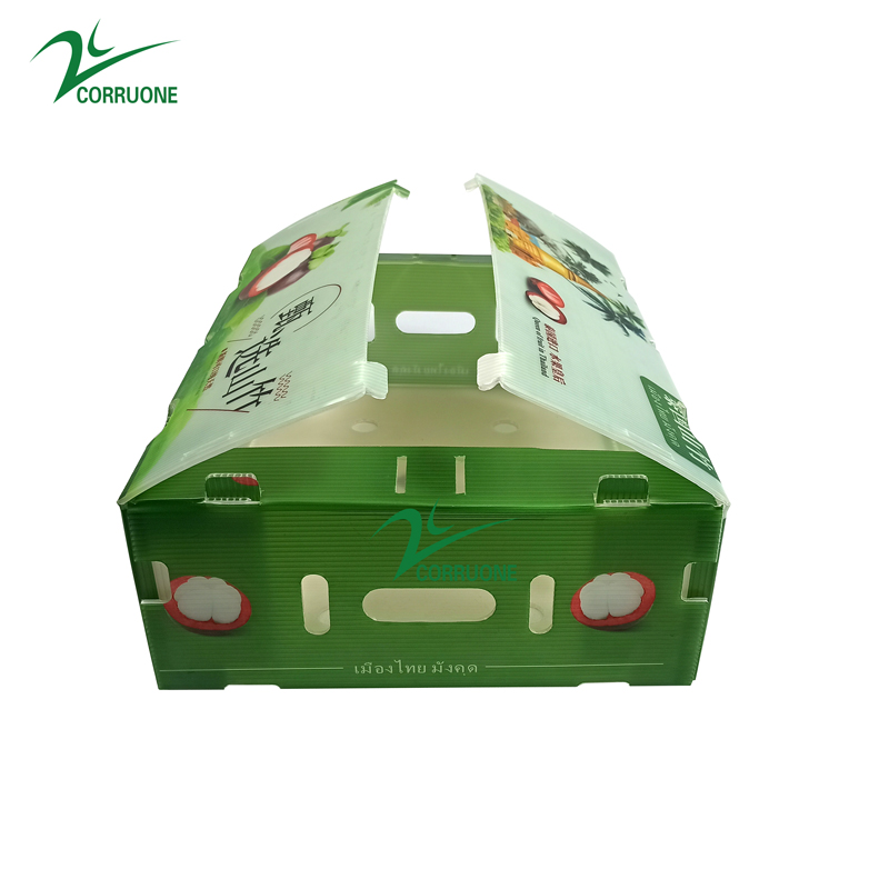 PP Corrugated Plastic Box for Vegetable and Fruit Box Corn broccoli and Agriculture Packing box