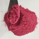 black currant juice powder buy best health benefits supplement products drink