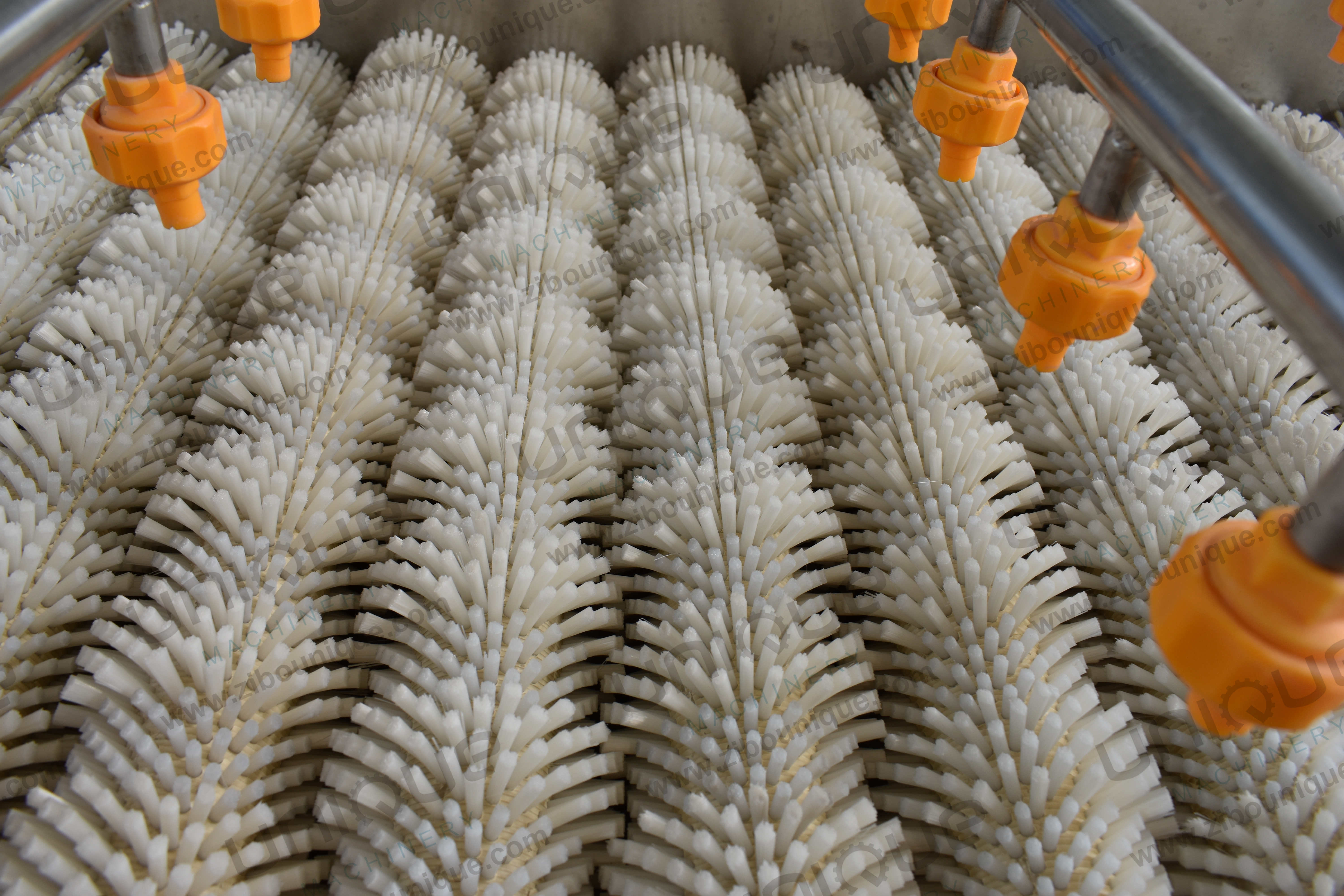 Vegetable Carrot Potato Ginger Brush Roller Washer Machine for Washing and Cleaning