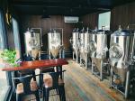 500 Litre Small Brewery Equipment , Brewpub Copper Beer Brewing Equipment