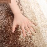 Multiple Gradient Brown Absorbent Fluffy Latex Tufted Bath Mat