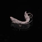 Esthetics and Adjustability Halley Retainer Perfect Fit Germany Ortho Teeth