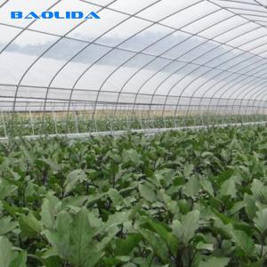 China Agricultural PE Film Polyethylene Plastic Sheeting Greenhouse Commercial wholesale