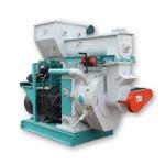 Malaysia 8mm Pellet Making Equipment Wood Biomass Pellet Production