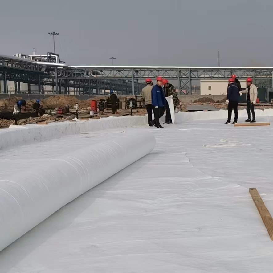 HDPE Geomembranes for Waterproofing and Pond Lining Solutions 100% Virgin Material