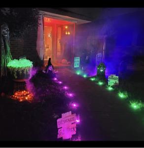 China 10m L15 Bulbs Other LED Lights Programmable Garden Lawn Lights wholesale
