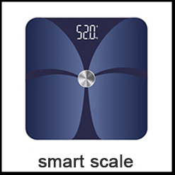Stainless Steel Digital Kitchen Scale with Bowl Portable Battery-Powered Food Weighting Scale