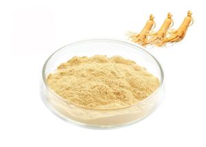 China Natural Ginseng Extract Powder wholesale