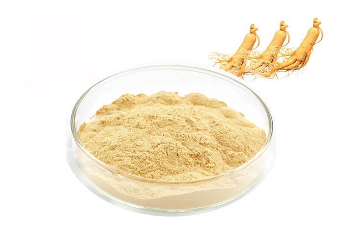 Natural Ginseng Extract Powder
