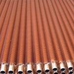 DELLOK TP316L Embedded Fin Tube