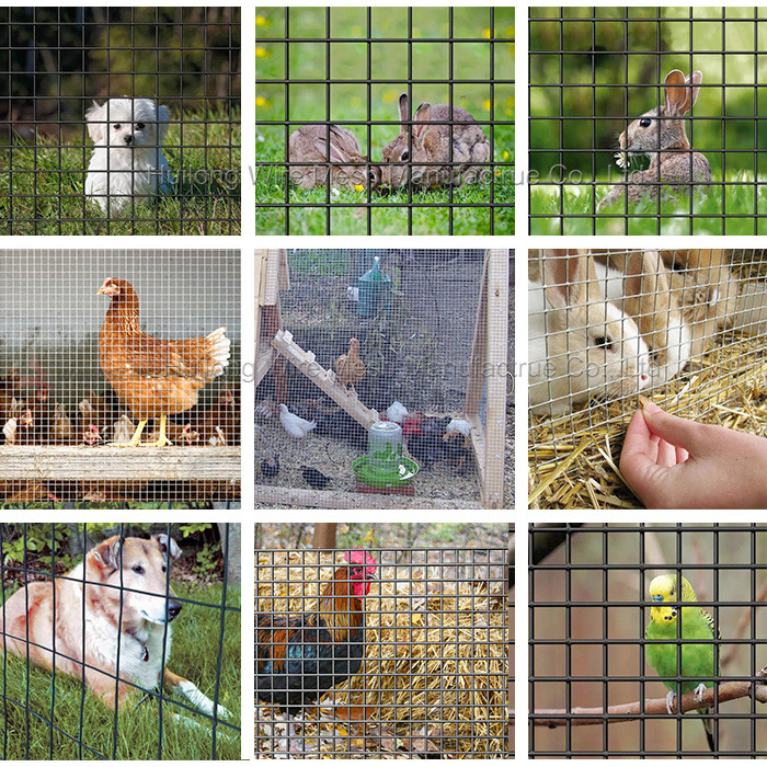 All Ral Color Pvc Coated 1x1inch 18 Gauge Welded Wire Mesh 50ft