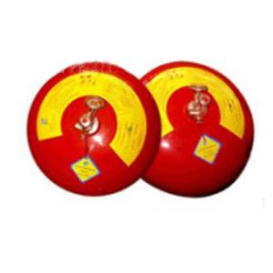 China No Damage 2kg Automatic Powder Fire Extinguisher wholesale