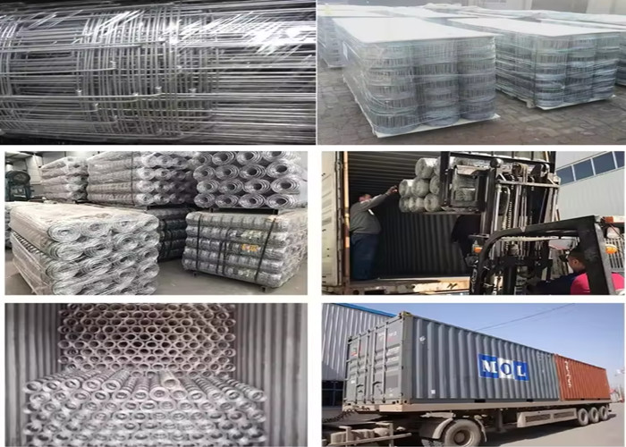 Galvanized Square Farm Wire Mesh Fence Galvanized With Hot Dipped Steel Wire