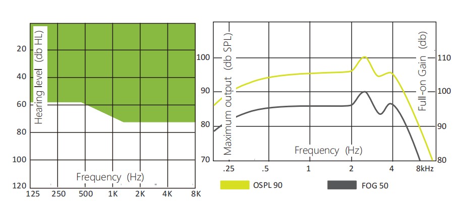 Detachable RITE Hearing Aids For Slight Hearing Loss Vigor 403