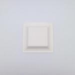Greaseproof White Square Biodegradable Plates Waterproof Sustainable