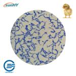 Sunhy Water Soluble Probiotics For Poultry ISO Certified