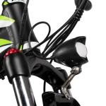 Electric Mountain Bike Fat Tyre Ebike 1000w Big Tire Electric Bicycle Hardtail