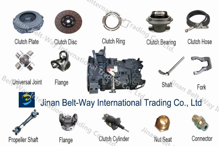 Sinotruk HOWO Truck Spare Parts Clutch Plate Wg9725160390 Clutch Disc