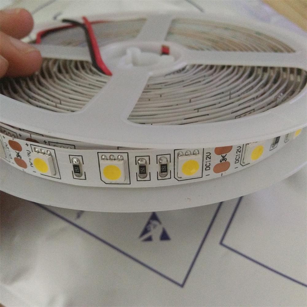 5 Meter Rape Flexible LED Strip Light DC12V Warm White Yellow 60leds