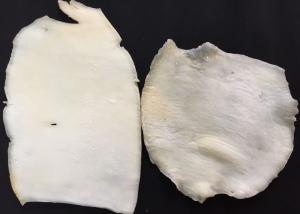 China Seasoned Dried Squid Fillets White Color Little Additives Good Moisture wholesale