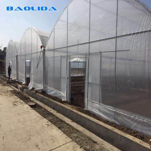 China Galvanized Steel Frame Multi Span Agricultural Greenhouses Flower Vegetable Growing wholesale