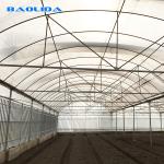 Galvanized Steel Pipe Agricultural Plastic Film Multi Span Tunnel Greenhouse For