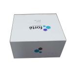 Recycle custom logo printed shipping hard card gift box for packing