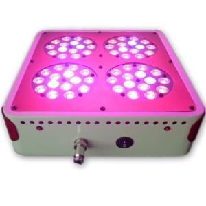 China CIDLY 4 60*3w full spectrum indoor garden led grow light grow light wholesale