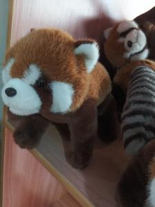 China Cute Raccoon Plush Toy Stuffed Doll Cute Cartoon Animal Craft Gift Holiday Gift Fashionable Soft Toy wholesale