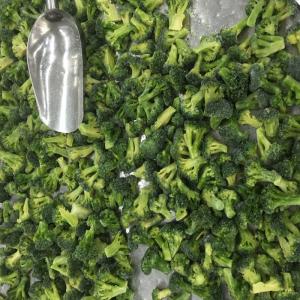 China Premium IQF Frozen Vegetables / Green Broccoli Safe And Healthy Food wholesale