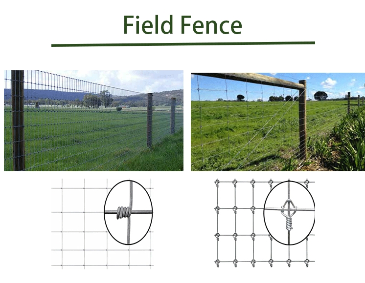 7 Clip Post Fixed Knot Fencing Hot Dipped Hinge Joint Fence