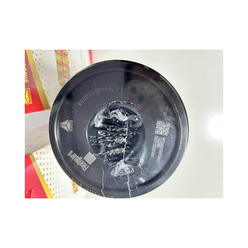 2006- Heavy Duty Truck Air Filter WG9925550966/1 with Metal and Plastic Material