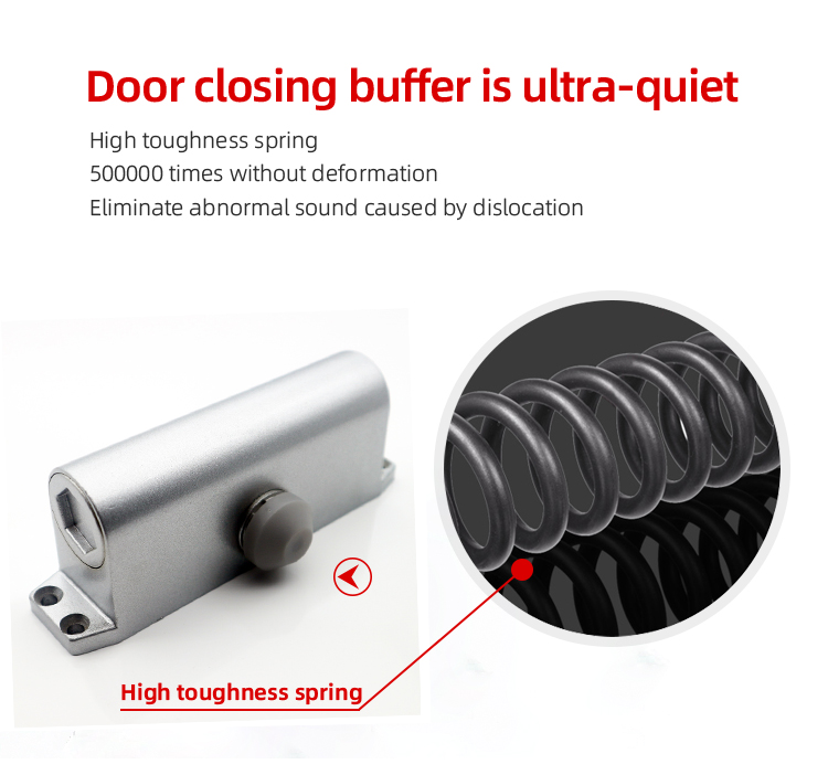 Fire Door Option Aluminum Hydraulic Heavy Duty Automatic Door Closer With Sliding Arm