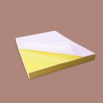 Strong Adhesive Glossy A4 200g Blank Sticker Paper