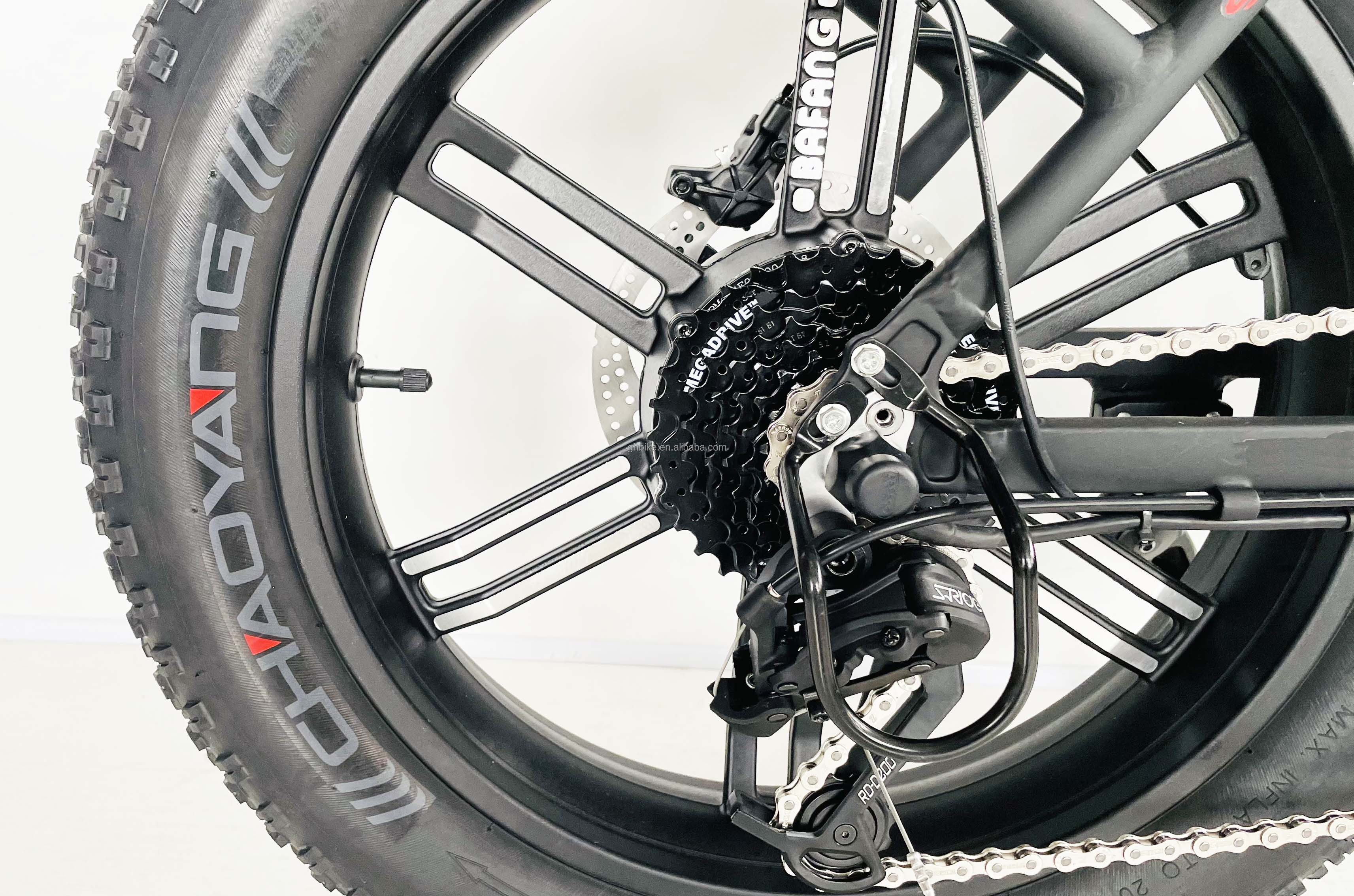 CE Approved 48V 10.4AH Electric Folding Bike with 750W Motor and Top Speed of 50KM/H
